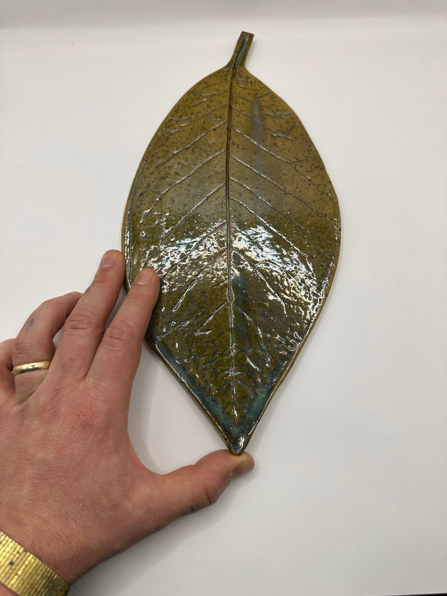 Leaf Glossy