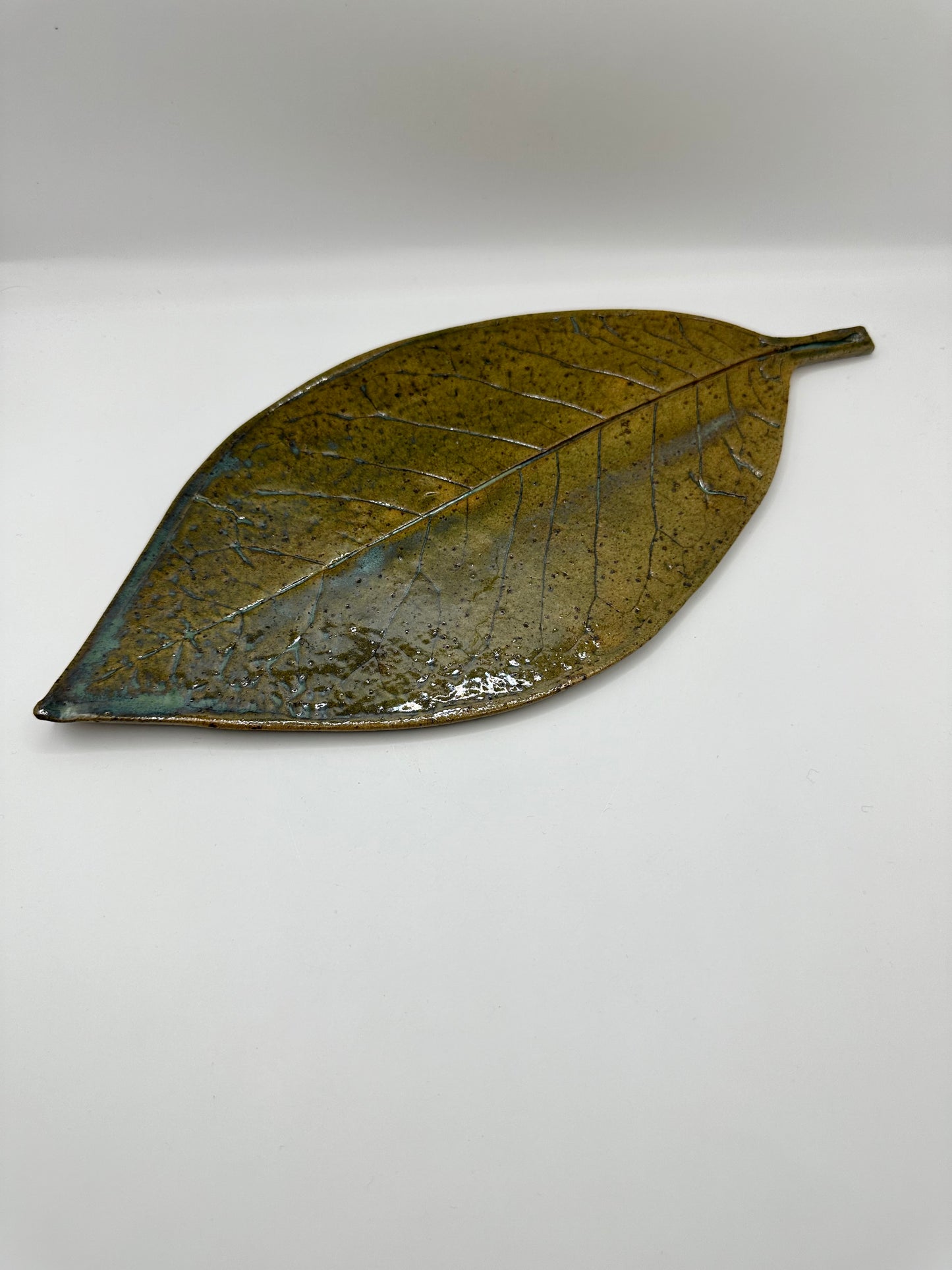 Leaf Glossy